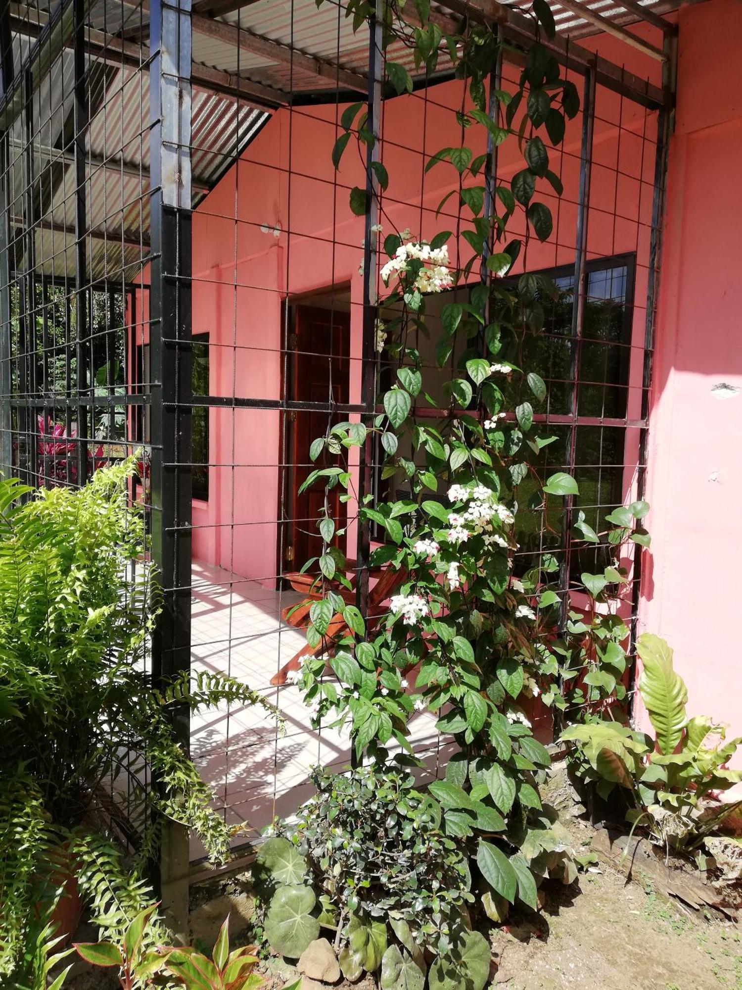 Paraiso Verde Siqurres Da Alegria Exterior photo