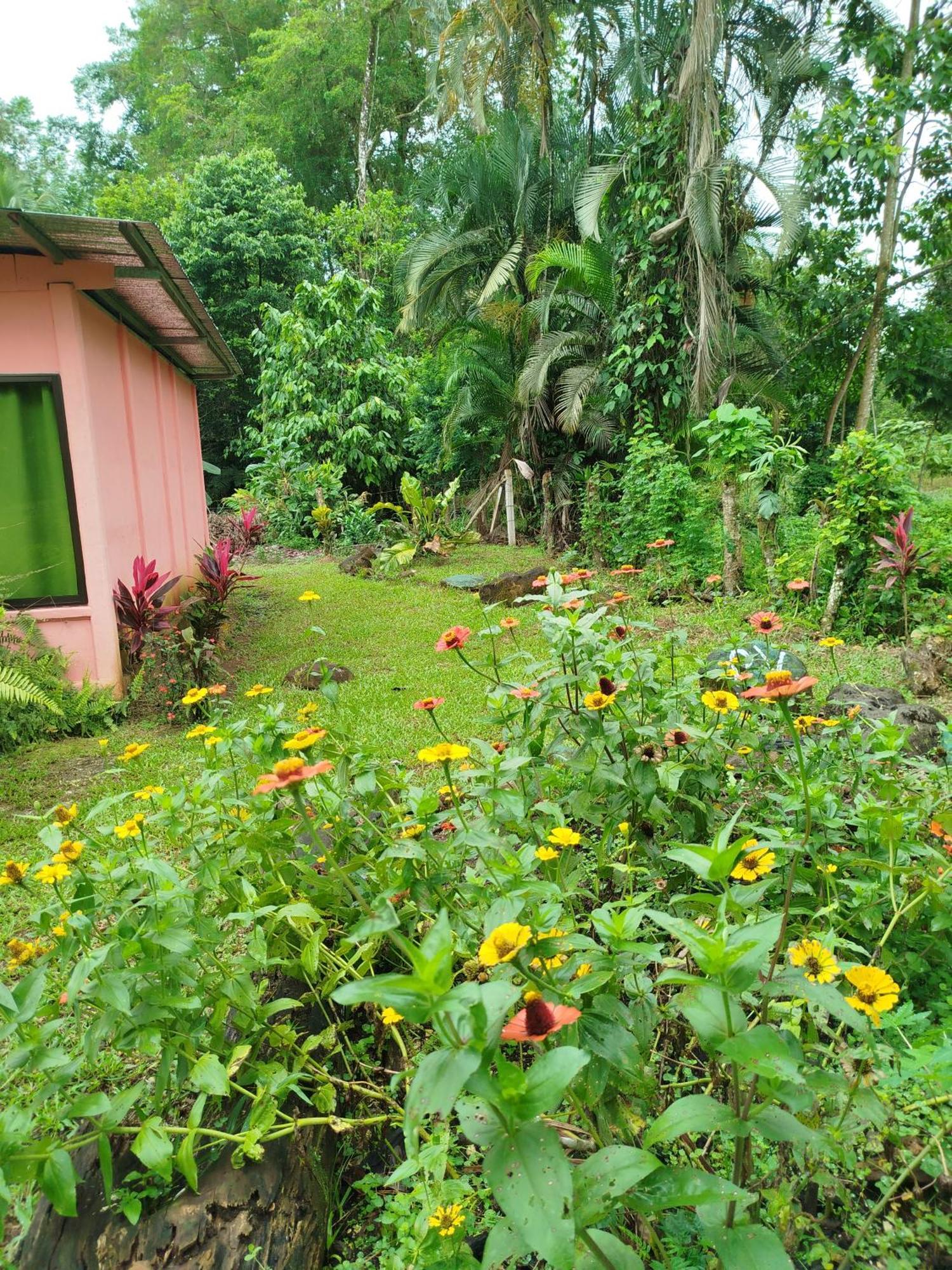 Paraiso Verde Siqurres Da Alegria Room photo